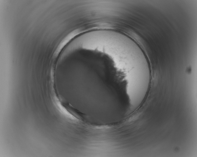 X0000113061243200909181953