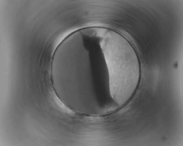 X0000113061244200909181953