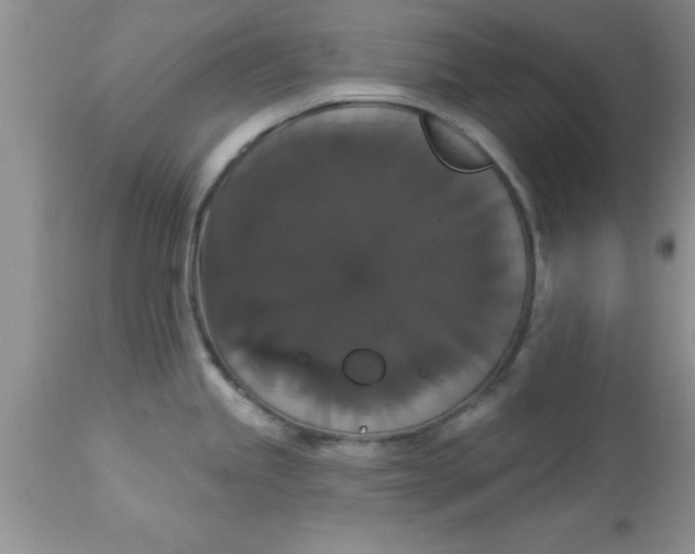 X0000113061245200909181953