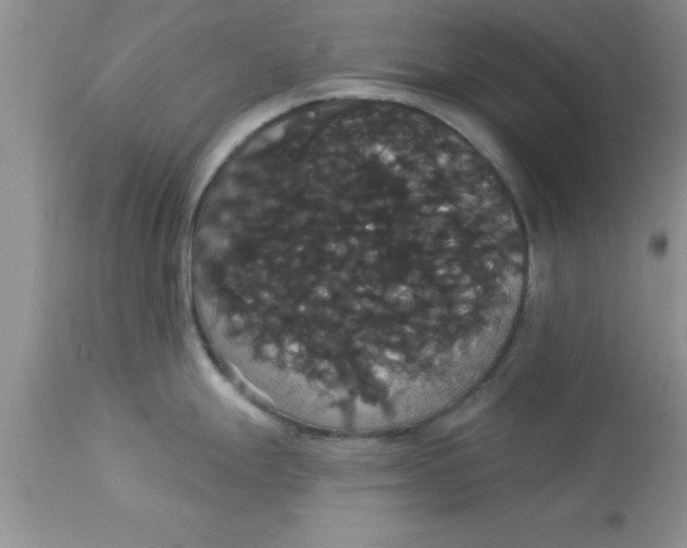 X0000113061247200909181953