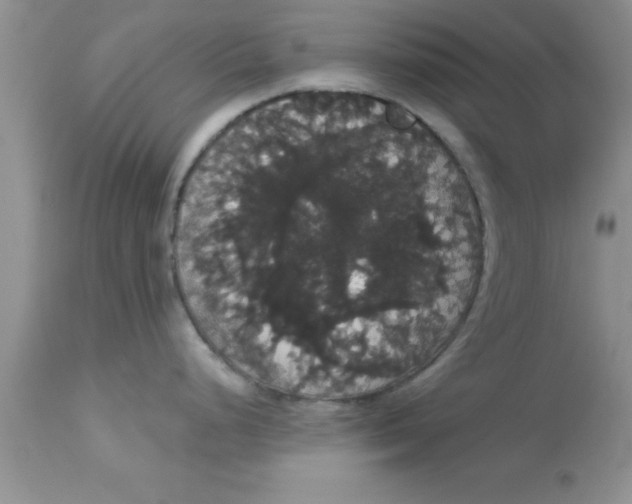 X0000113061248200909181953