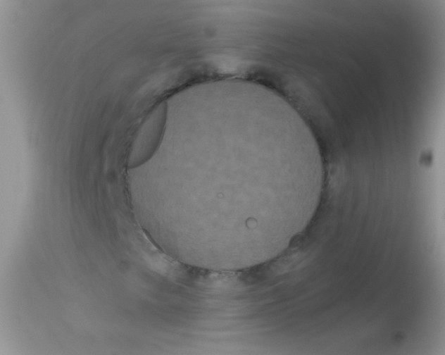 X0000113061249200909181952