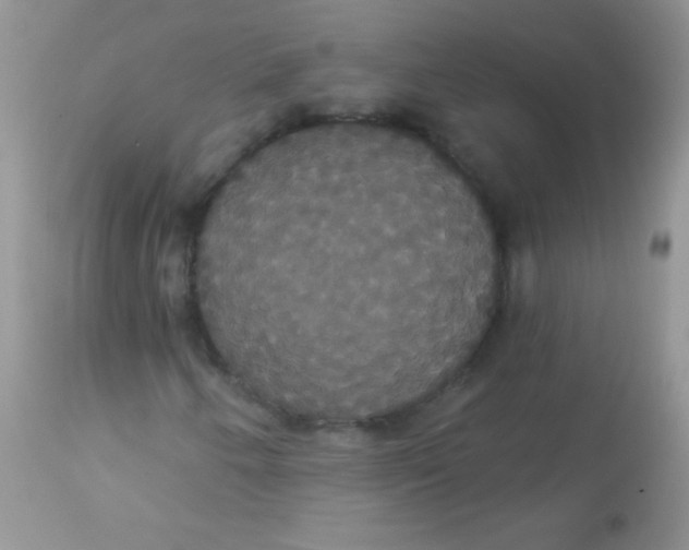 X0000113061250200909181952