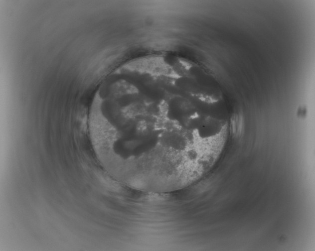 X0000113061251200909181952