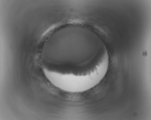 X0000113061254200909181952