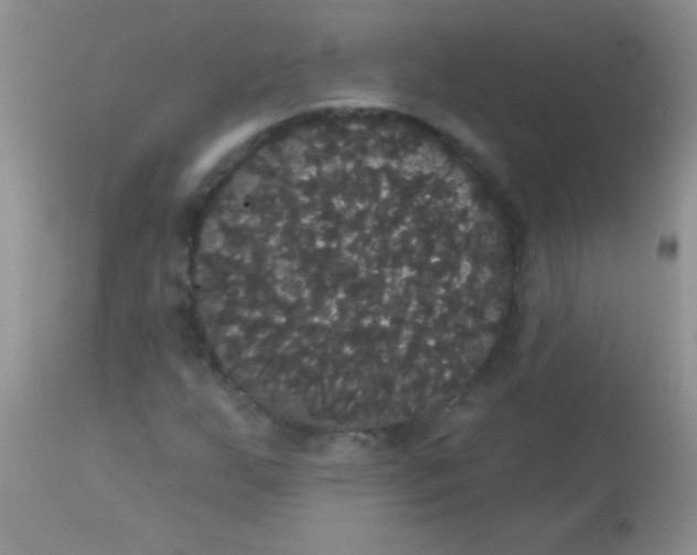 X0000113061255200909181952
