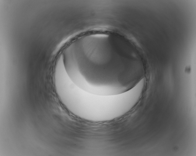 X0000113061256200909181952