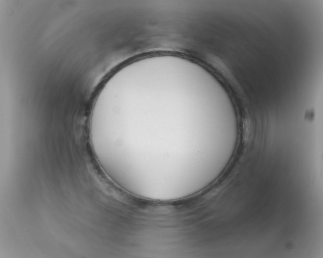 X0000113061260200909181952