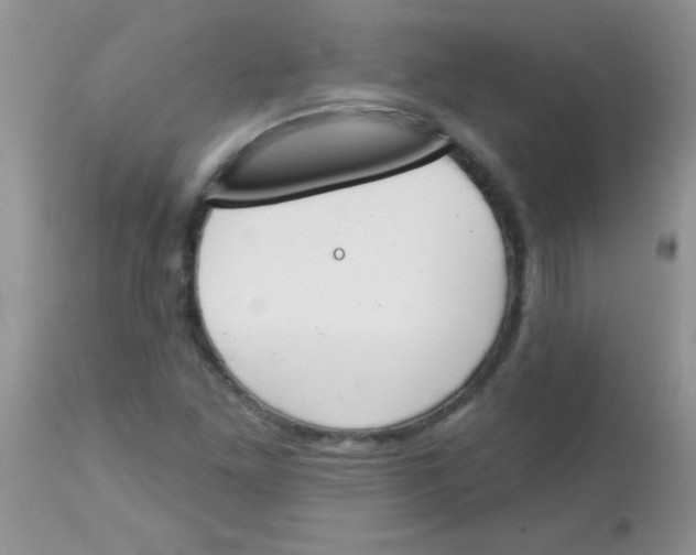 X0000113061261200909181952