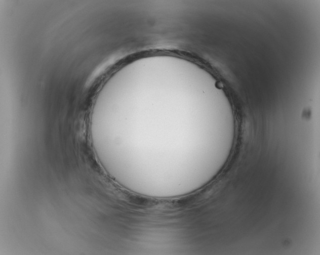 X0000113061262200909181952