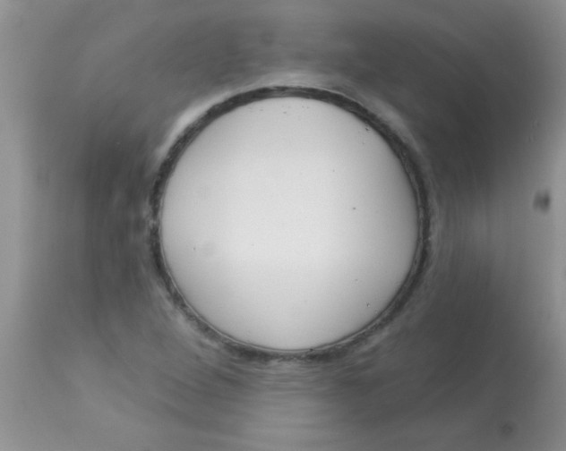 X0000113061264200909181952