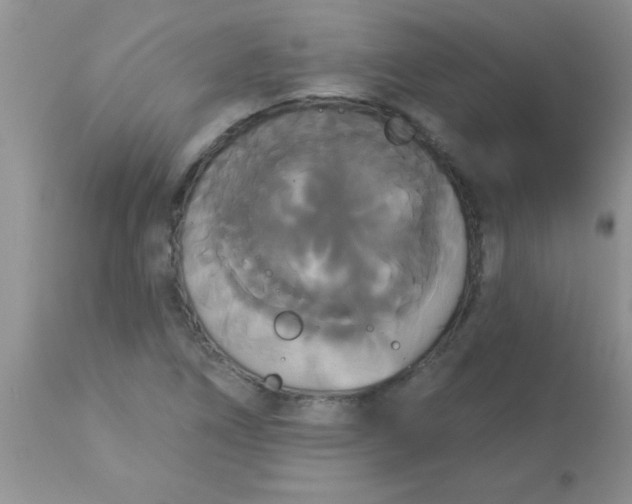 X0000113061266200909181952