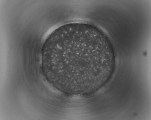 X0000113061267200909181952