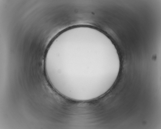 X0000113061268200909181952