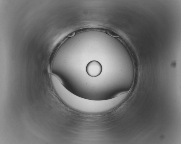 X0000113061269200909181952