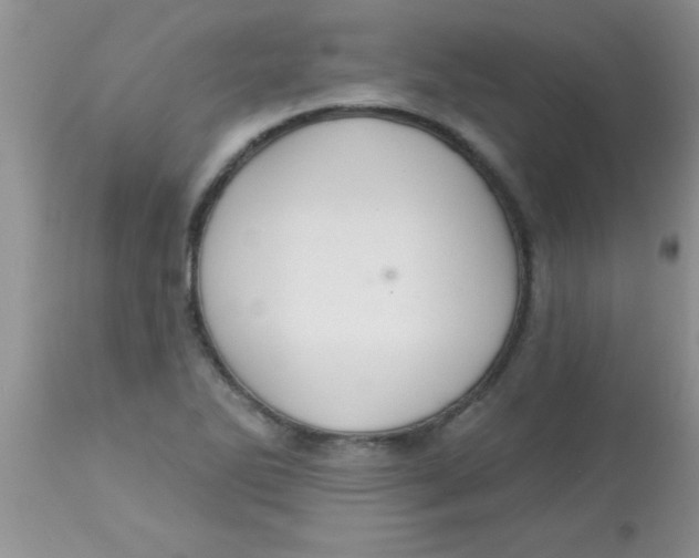 X0000113061270200909181952