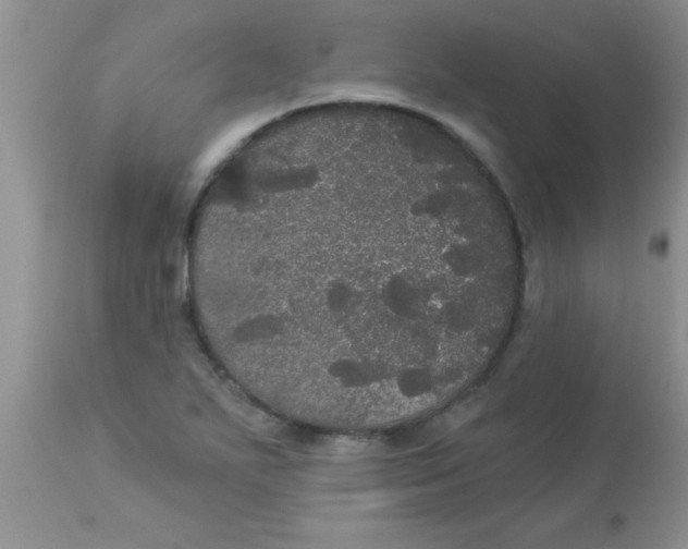 X0000113061271200909181952