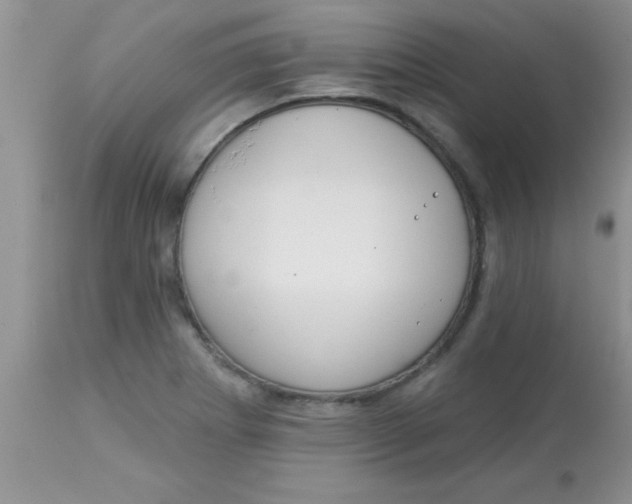X0000113061273200909181952