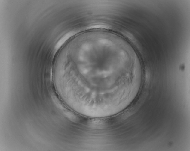 X0000113061274200909181951