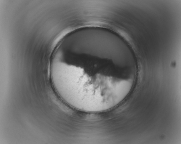X0000113061275200909181951