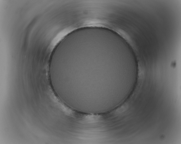 X0000113061277200909181951