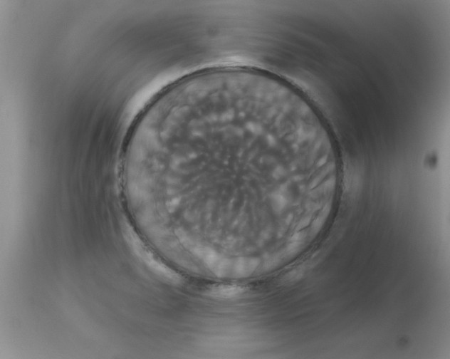 X0000113061278200909181951