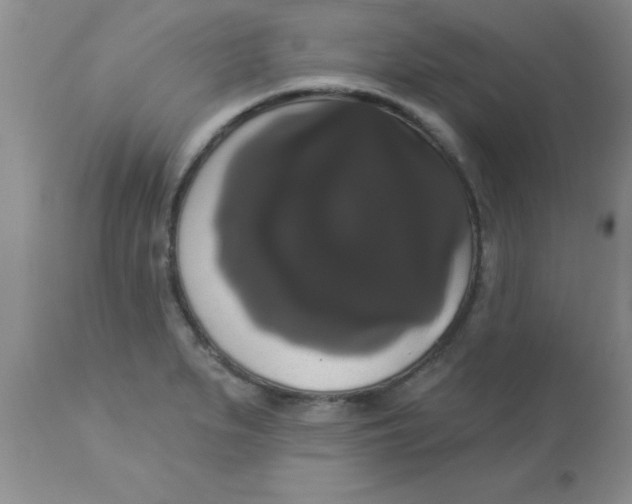 X0000113061279200909181951