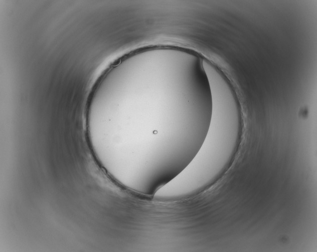 X0000113061280200909181951