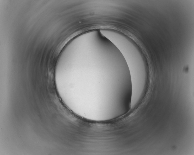 X0000113061281200909181951
