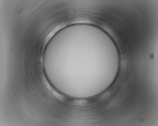 X0000113061282200909181951