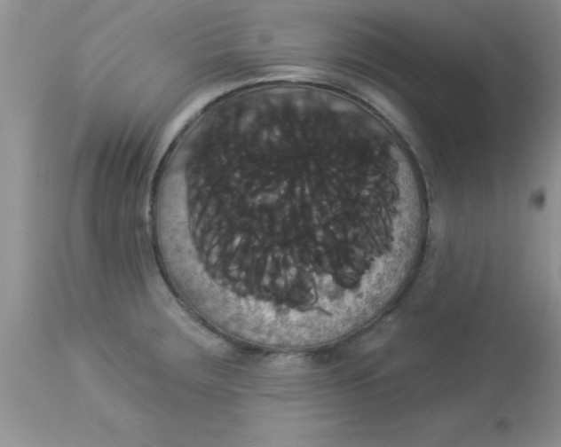 X0000113061283200909181951