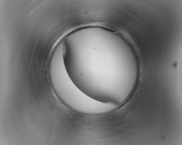 X0000113061284200909181951