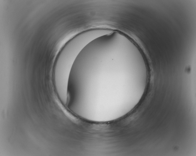 X0000113061285200909181951