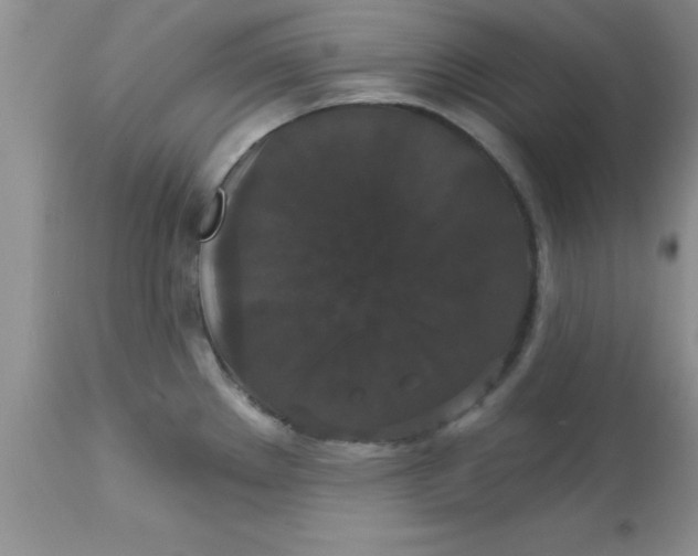 X0000113061289200909181951