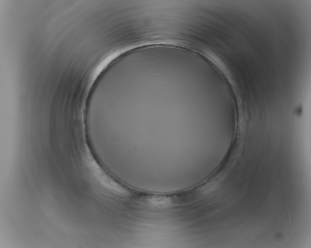 X0000113061291200909181951