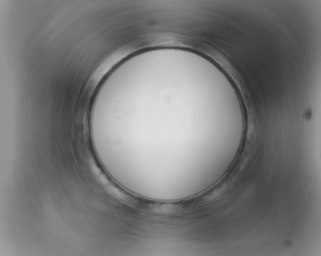 X0000113061293200909181951