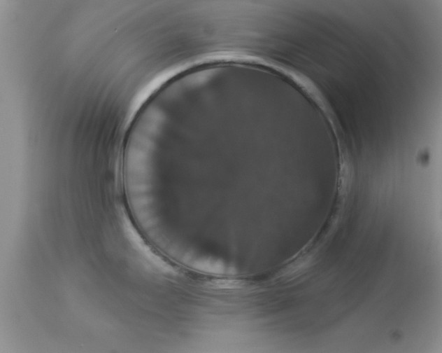 X0000113061295200909181951