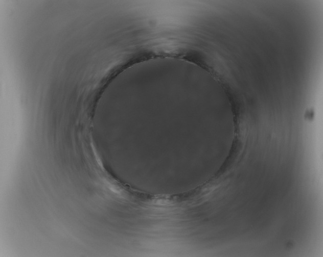 X0000113061297200909181950