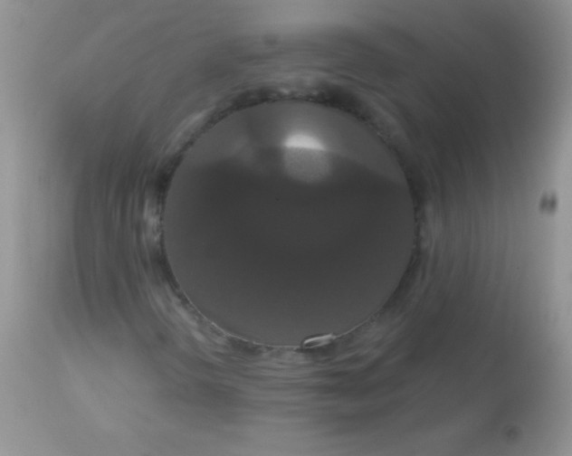 X0000113061298200909181950