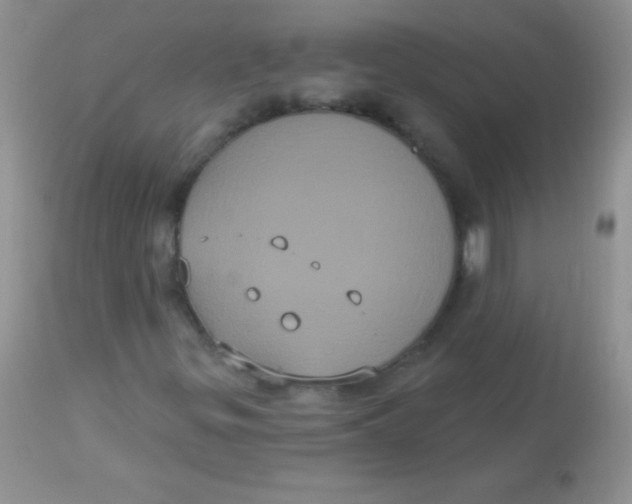 X0000113061299200909181950
