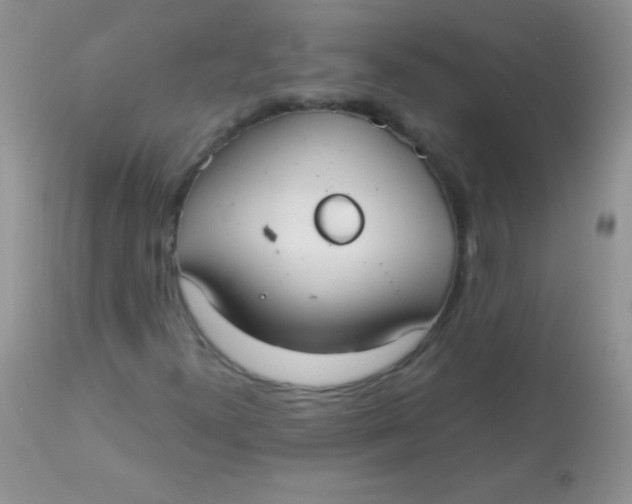 X0000113061300200909181950