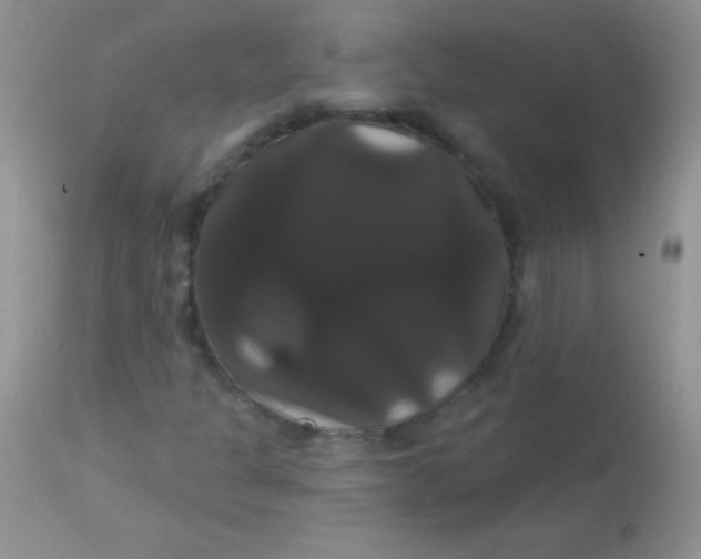 X0000113061301200909181951