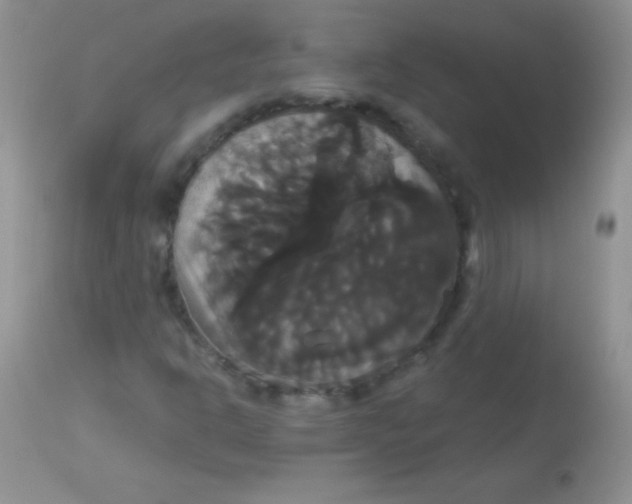 X0000113061302200909181951