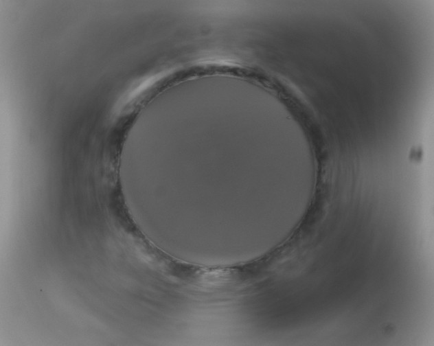 X0000113061303200909181951