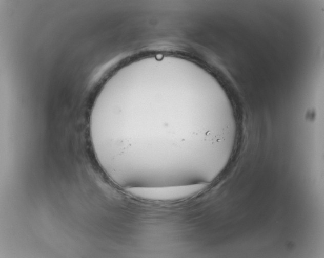 X0000113061304200909181951