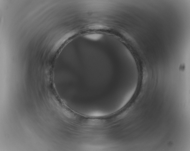 X0000113061305200909181951