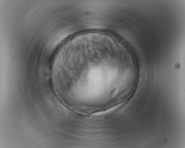 X0000113061306200909181951