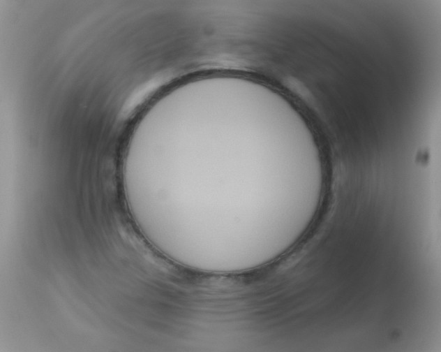 X0000113061307200909181951