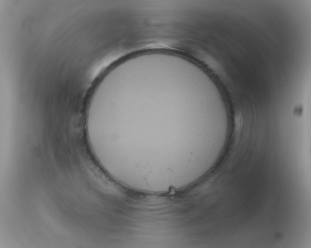 X0000113061308200909181951