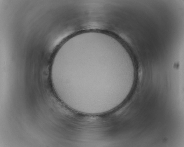 X0000113061309200909181951